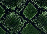 Green Mojave Snake Skin